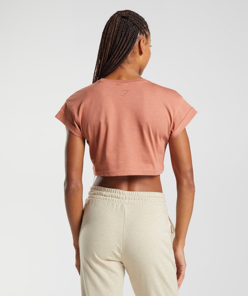 Women's Gymshark Fraction Cropped Tops Brown | NZ 0EYHLA